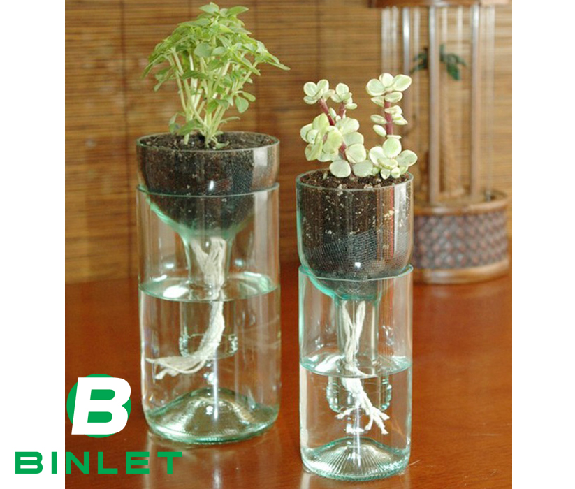 Làm chậu cây tái chế từ chai nhựa phù hợp trồng các loại cây thủy canh